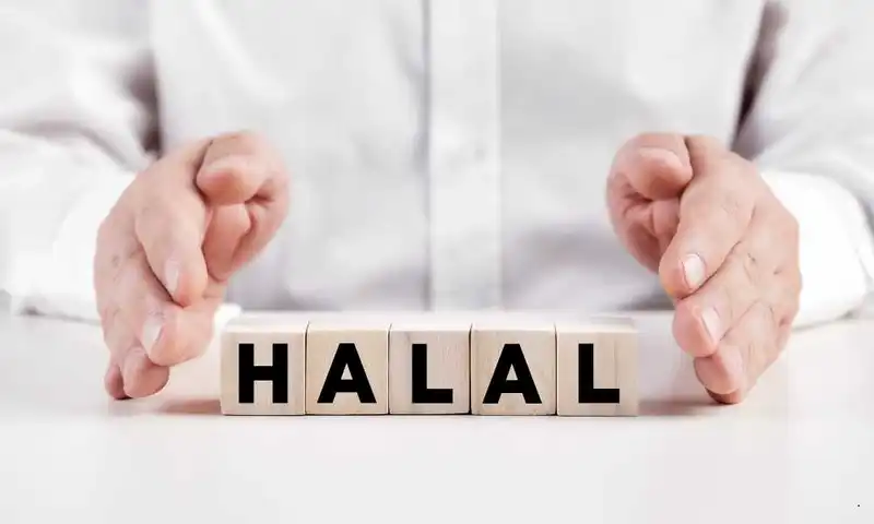 《印尼的Halal认证，食品安全与穆斯林信仰的结合》